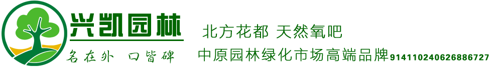 山東程錦綠化苗木有限公司